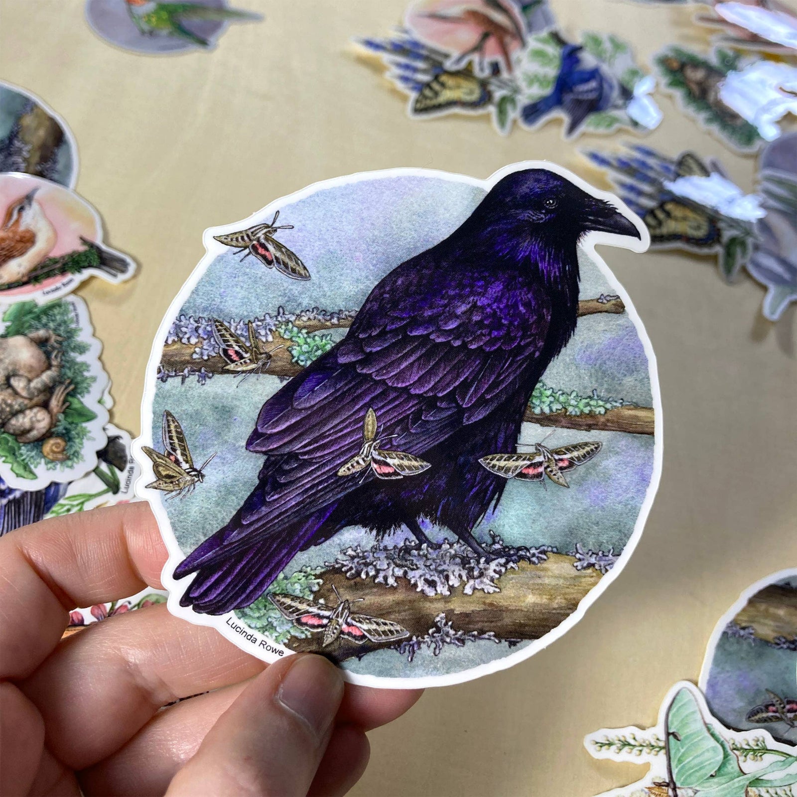 Common Raven with Moths - Vinyl Sticker