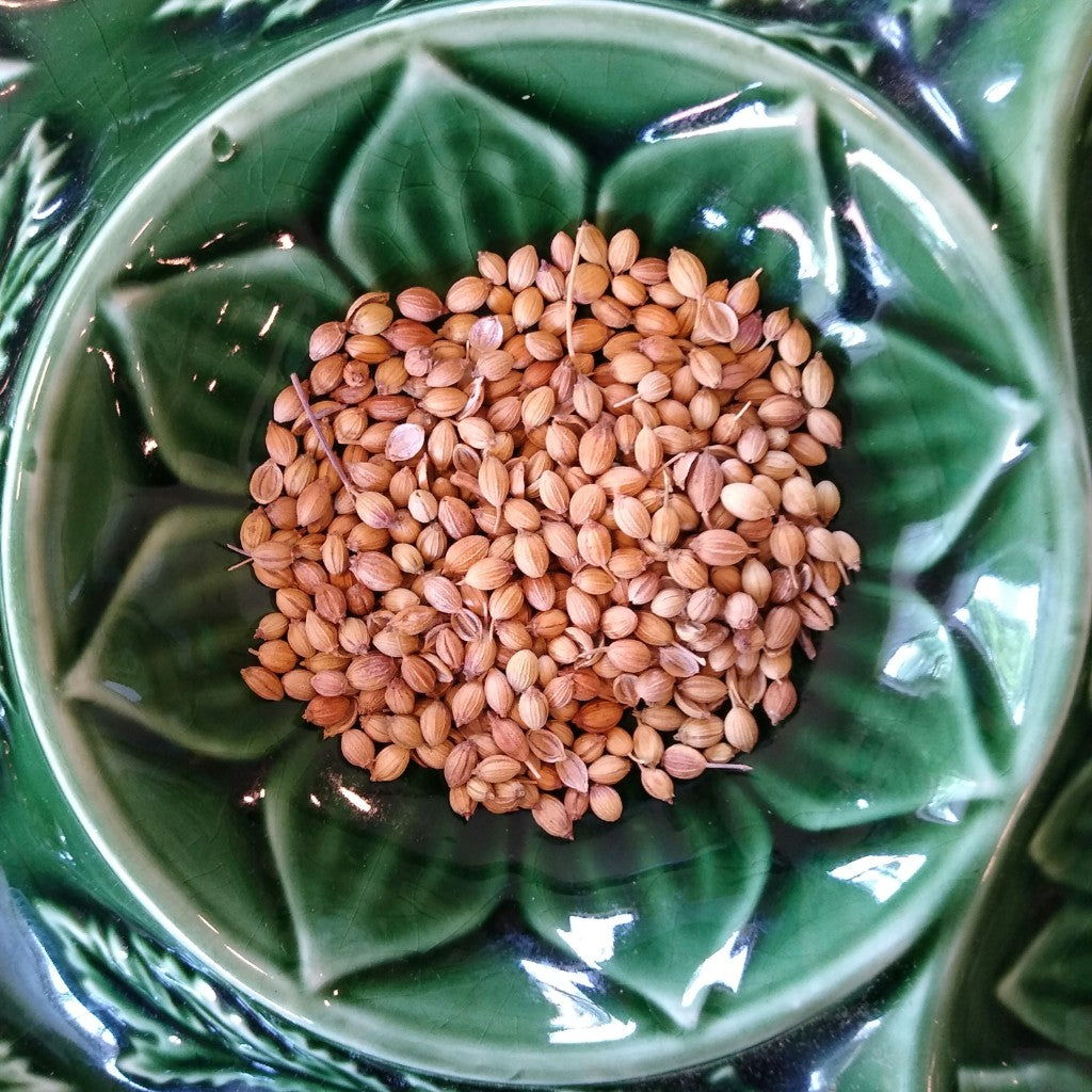 Coriander (Organic)