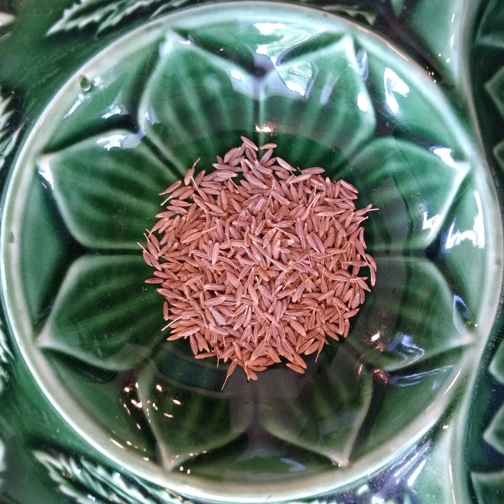 Cumin Seed