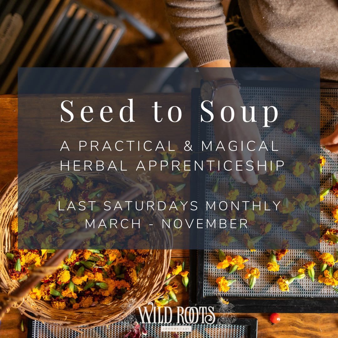 Seed to Soup: A Practical and Magical Herbal Apprenticeship Payment Plan