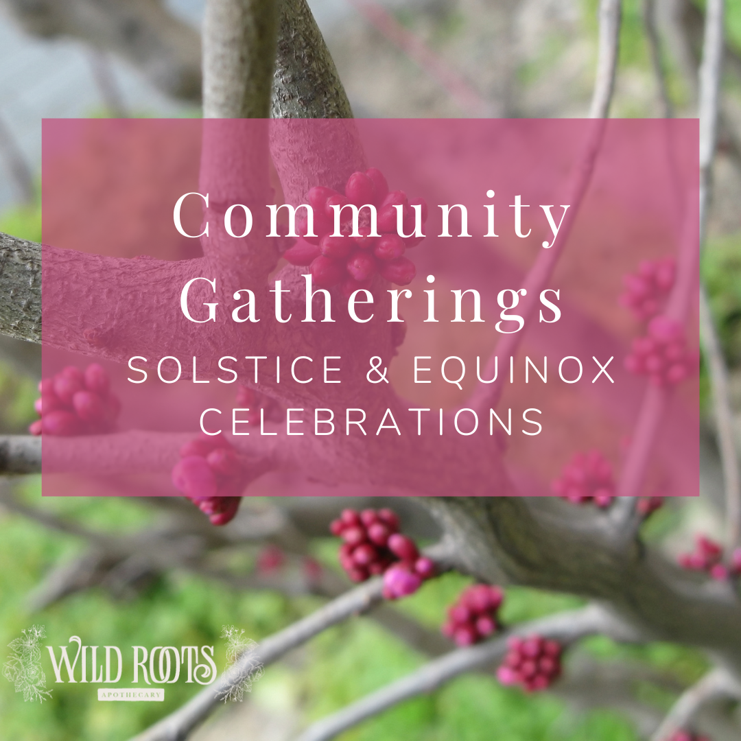 Community Gathering: For the love of people and plants