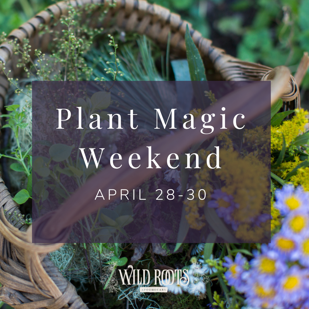 Plant Magic Weekend: April 28th-30th, 2023