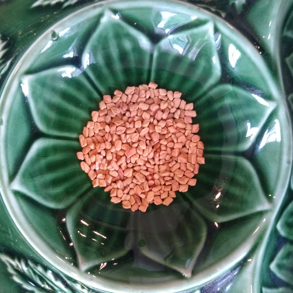 Fenugreek