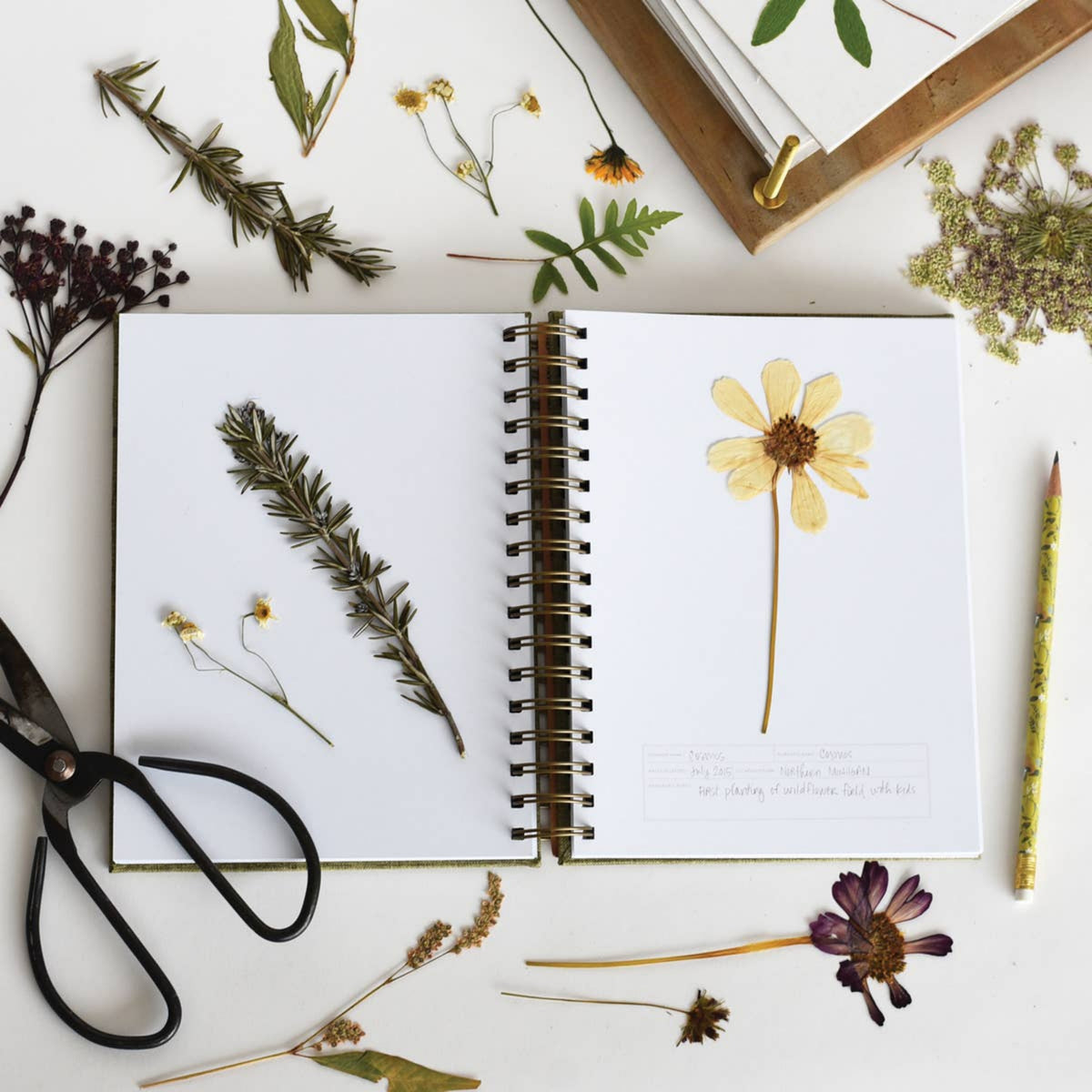Herbarium Journal - Forest Green