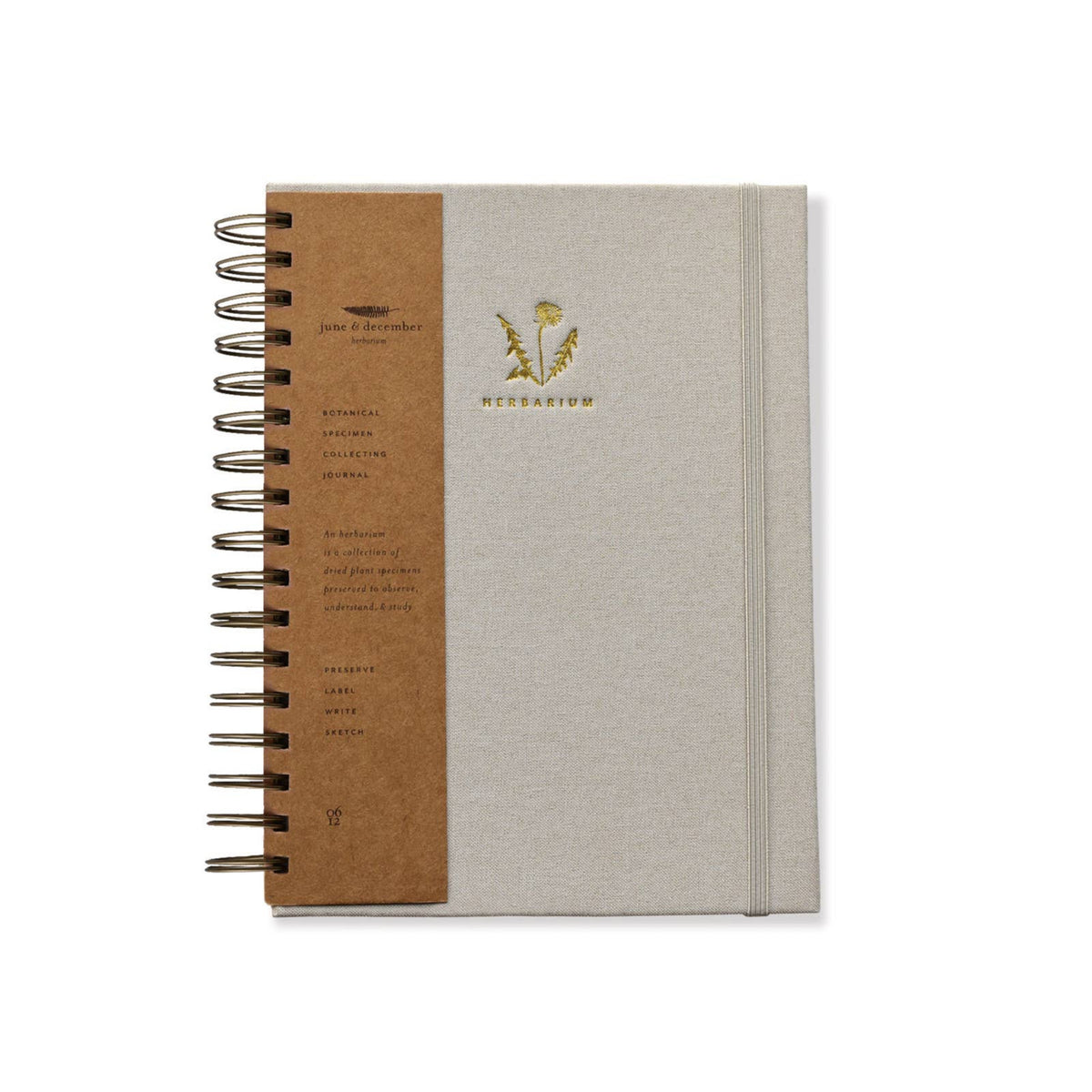 Herbarium Journal - Mushroom Gill Cream