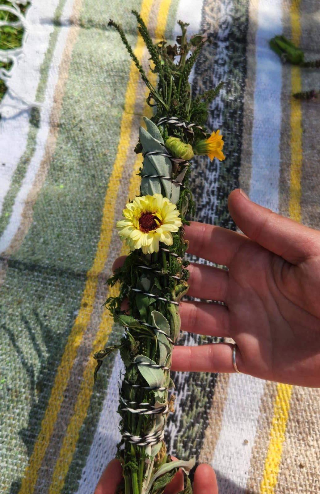 Plant Magic Weekend: April 28th-30th, 2023