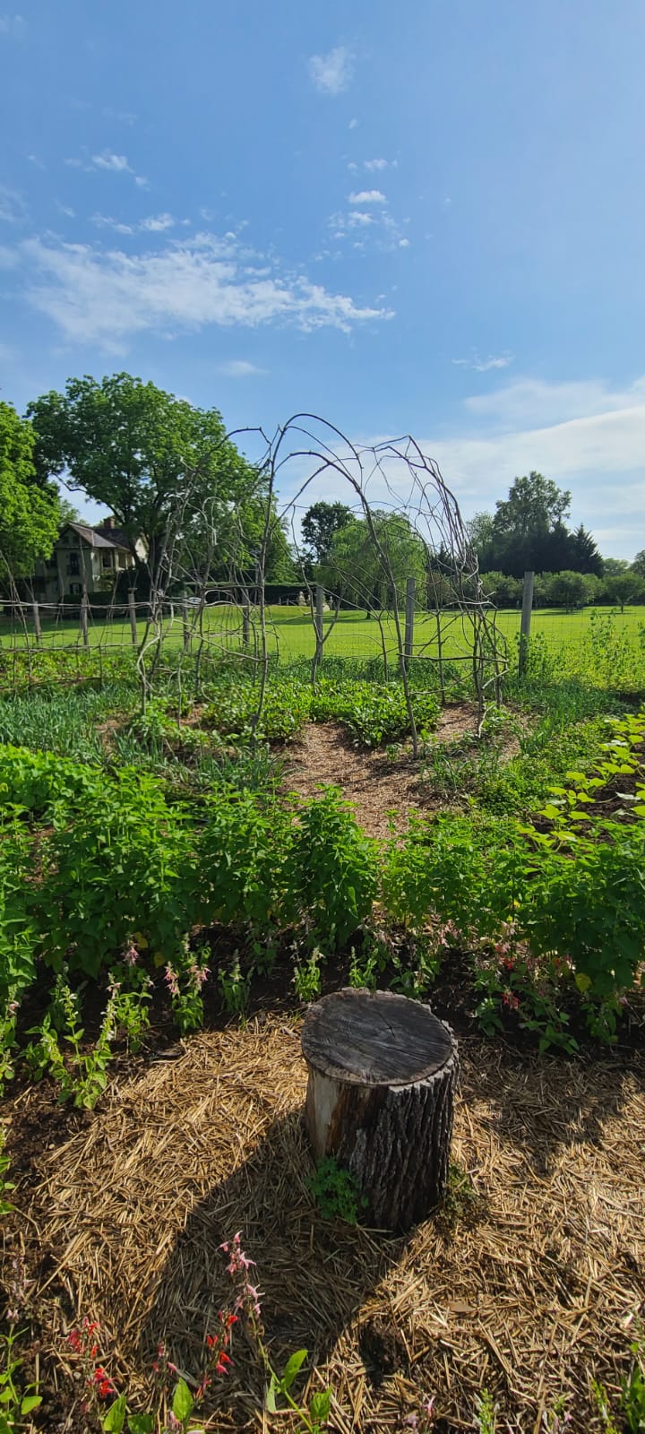 Art in the Garden and Natural Structure Building with Joneve Murphy