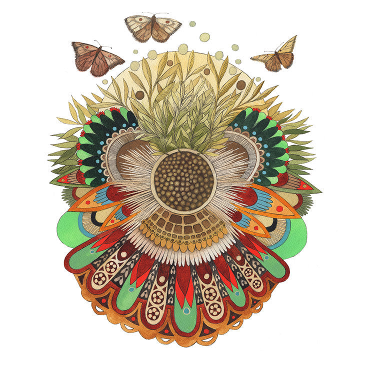 Flutter: Collector (8&quot; x 10&quot; Print)