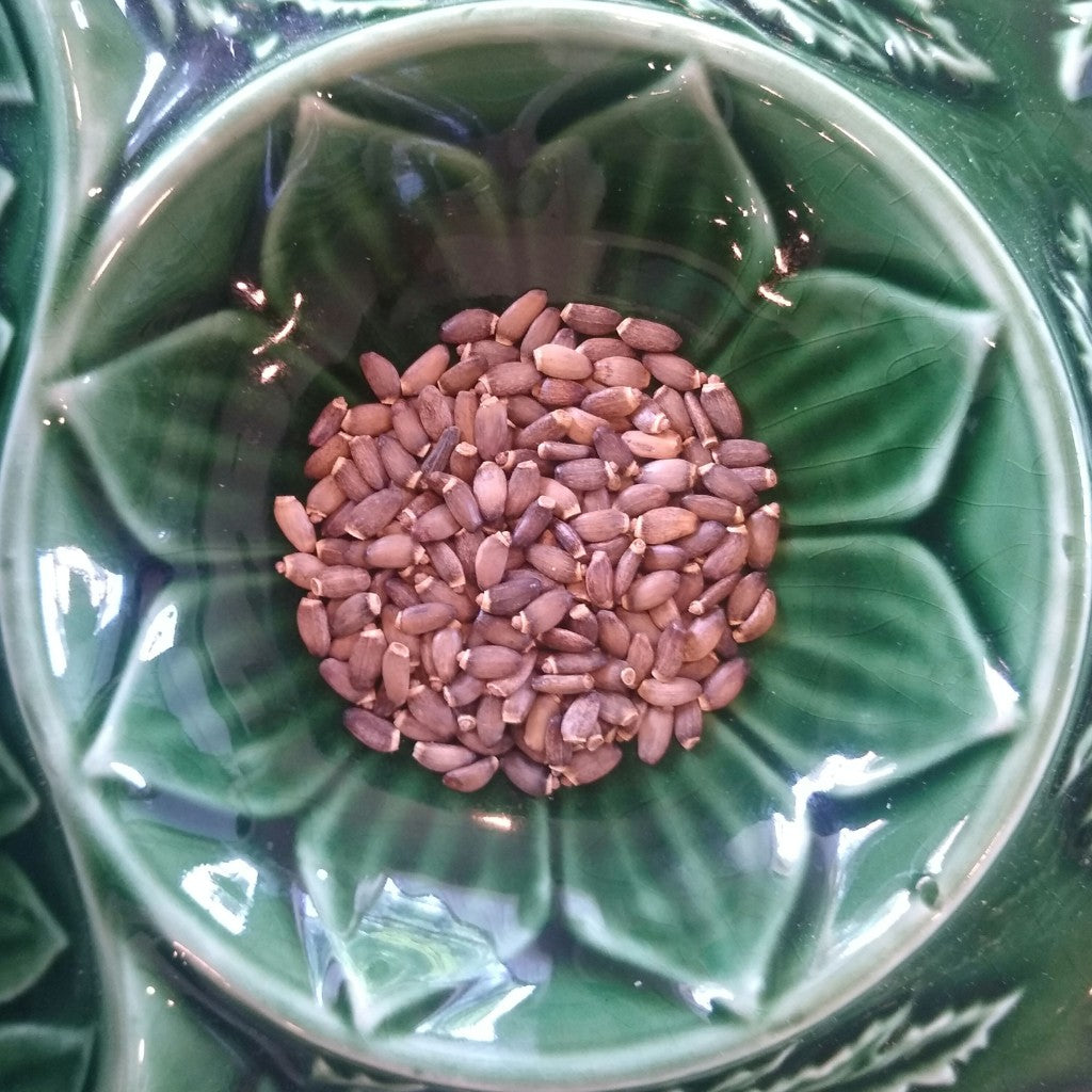 Milk Thistle (Organic)