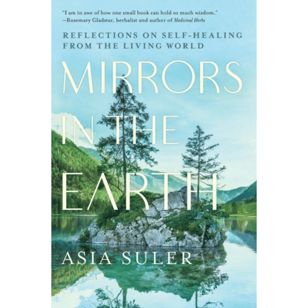 Mirror Rocks Asia Mirrors in the Earth by Asia Suler - Wild Roots Apothecary