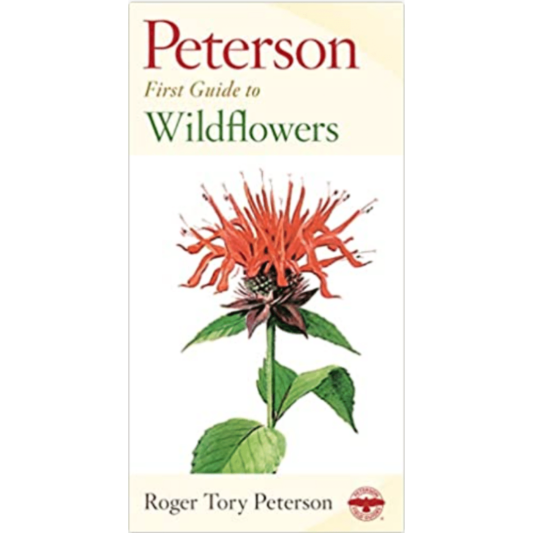First Guide to Wildflowers (Peterson Field Guides) by Roger Tory Peterson