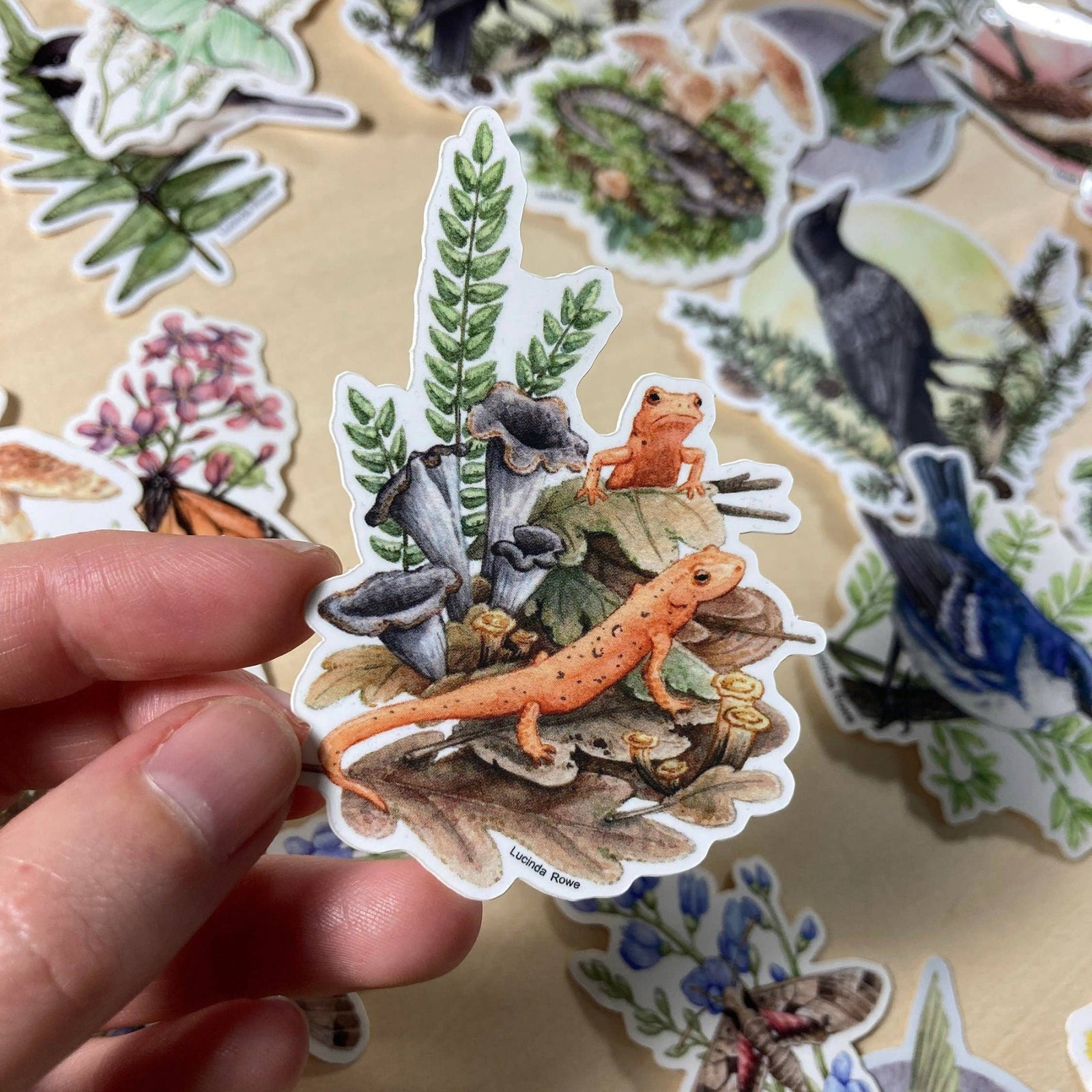 Red Efts With Trumpet Chanterelles - Vinyl Sticker