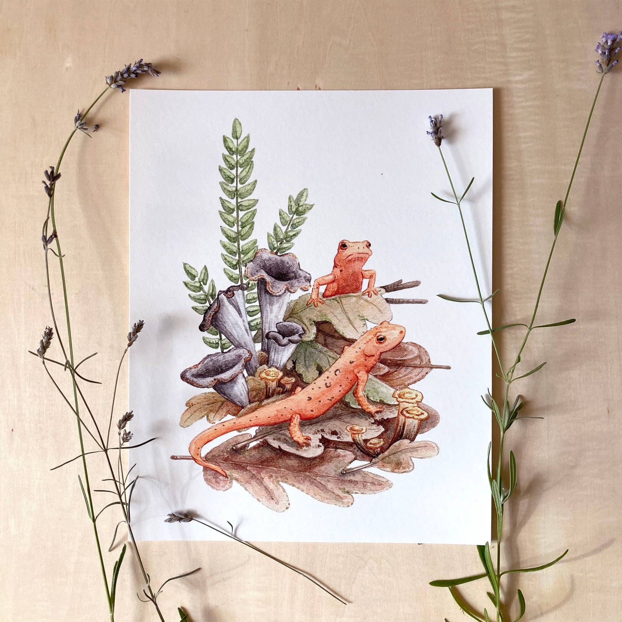 Red Efts with Trumpet Chanterelle