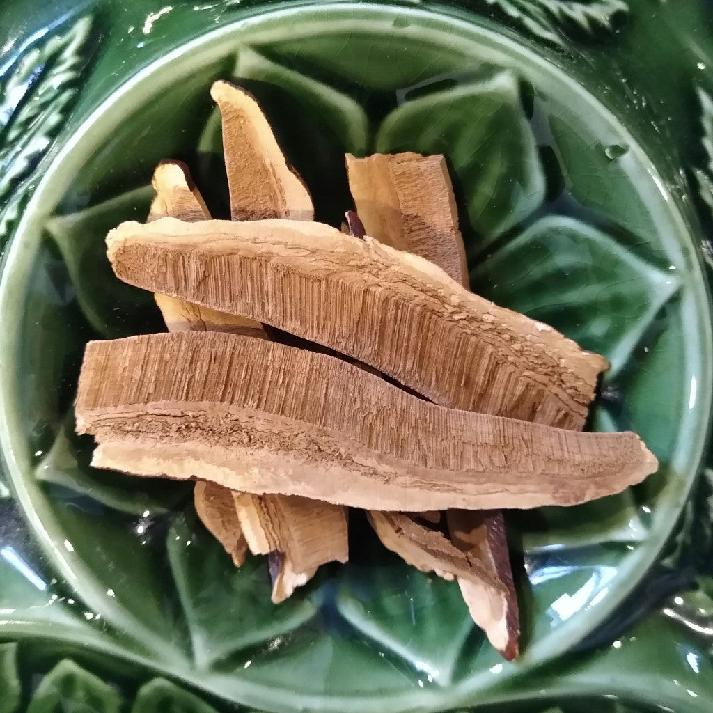 Reishi Mushroom Slices