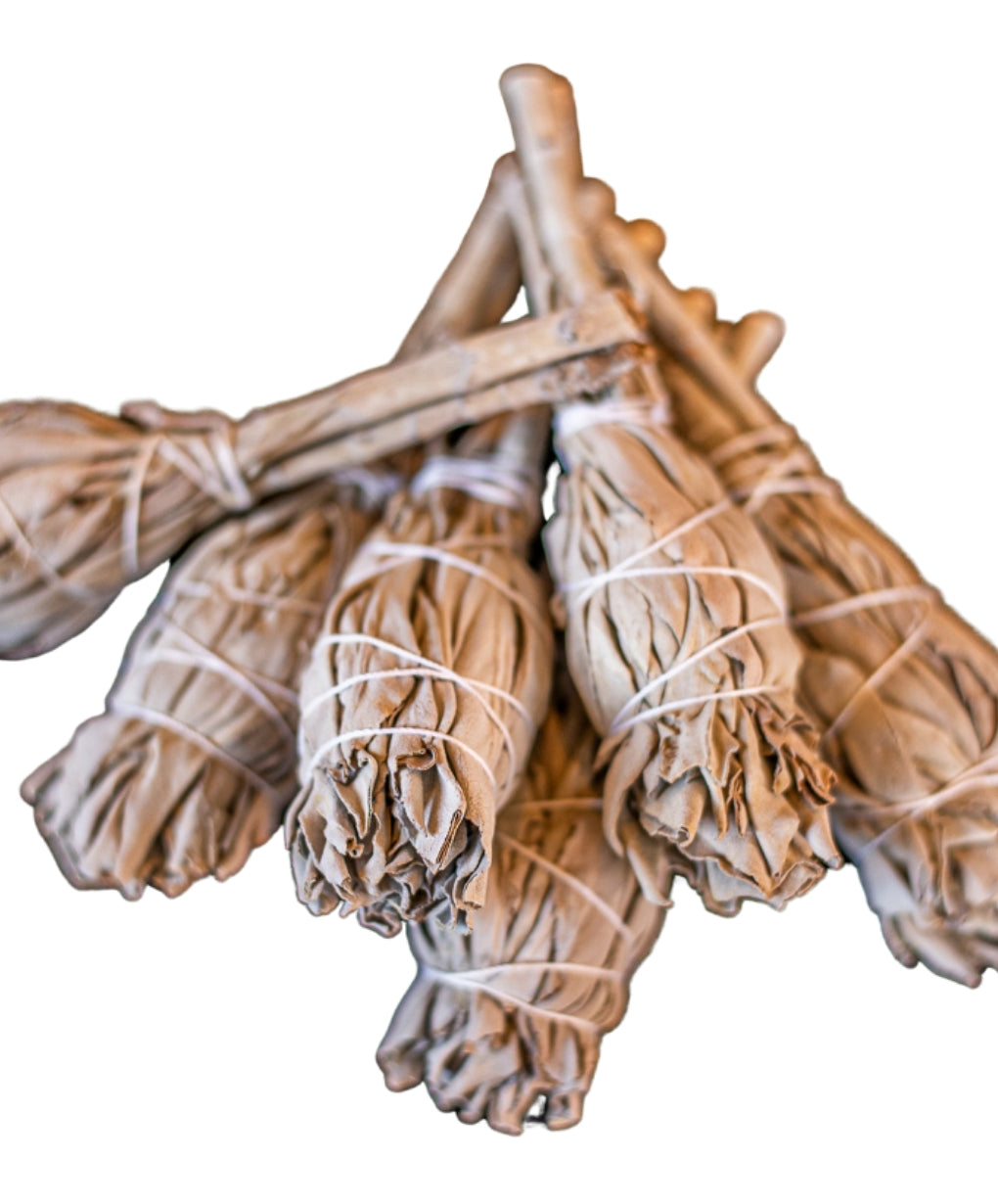 White Sage  Incense Bundles