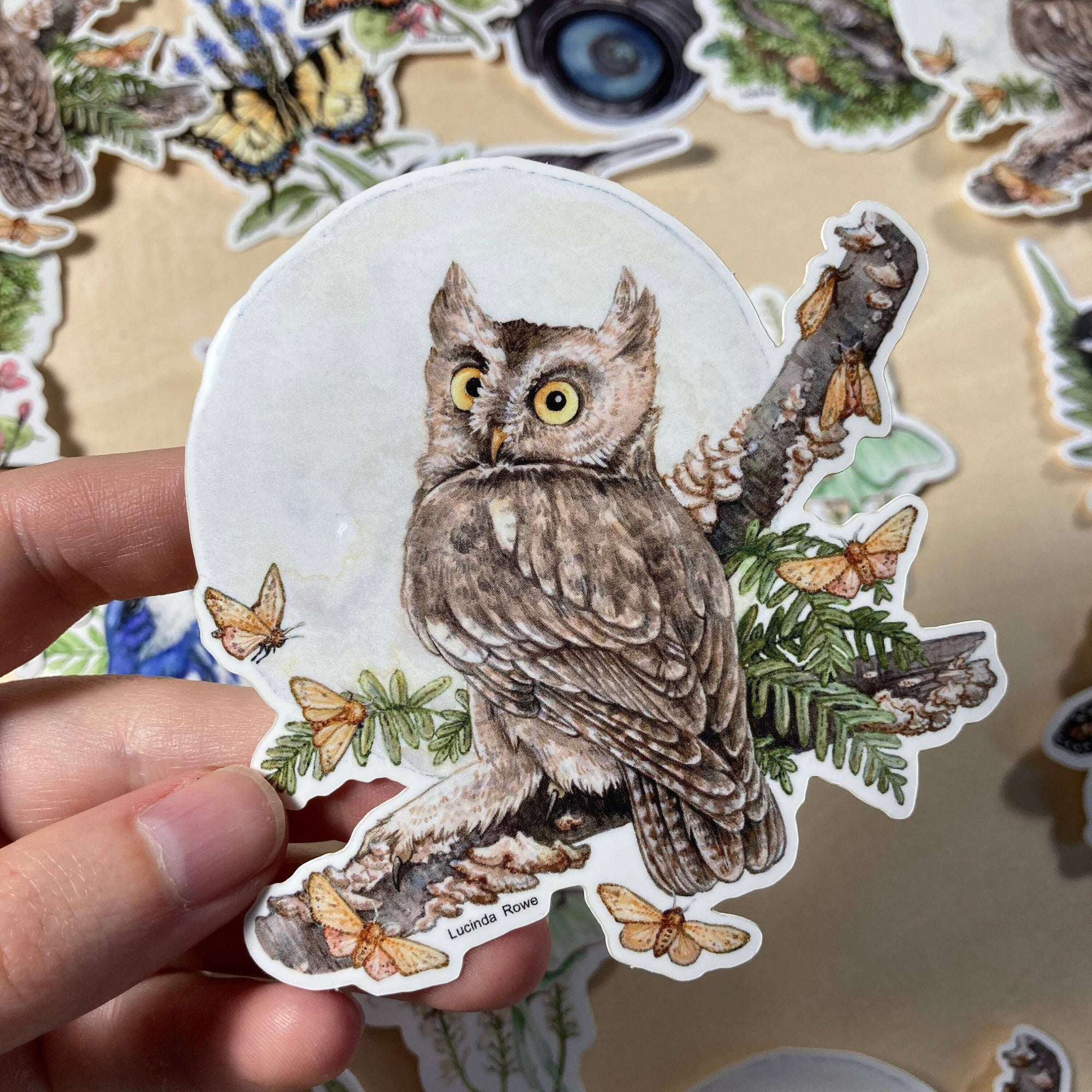 Screech Owl With Moths - Vinyl Sticker