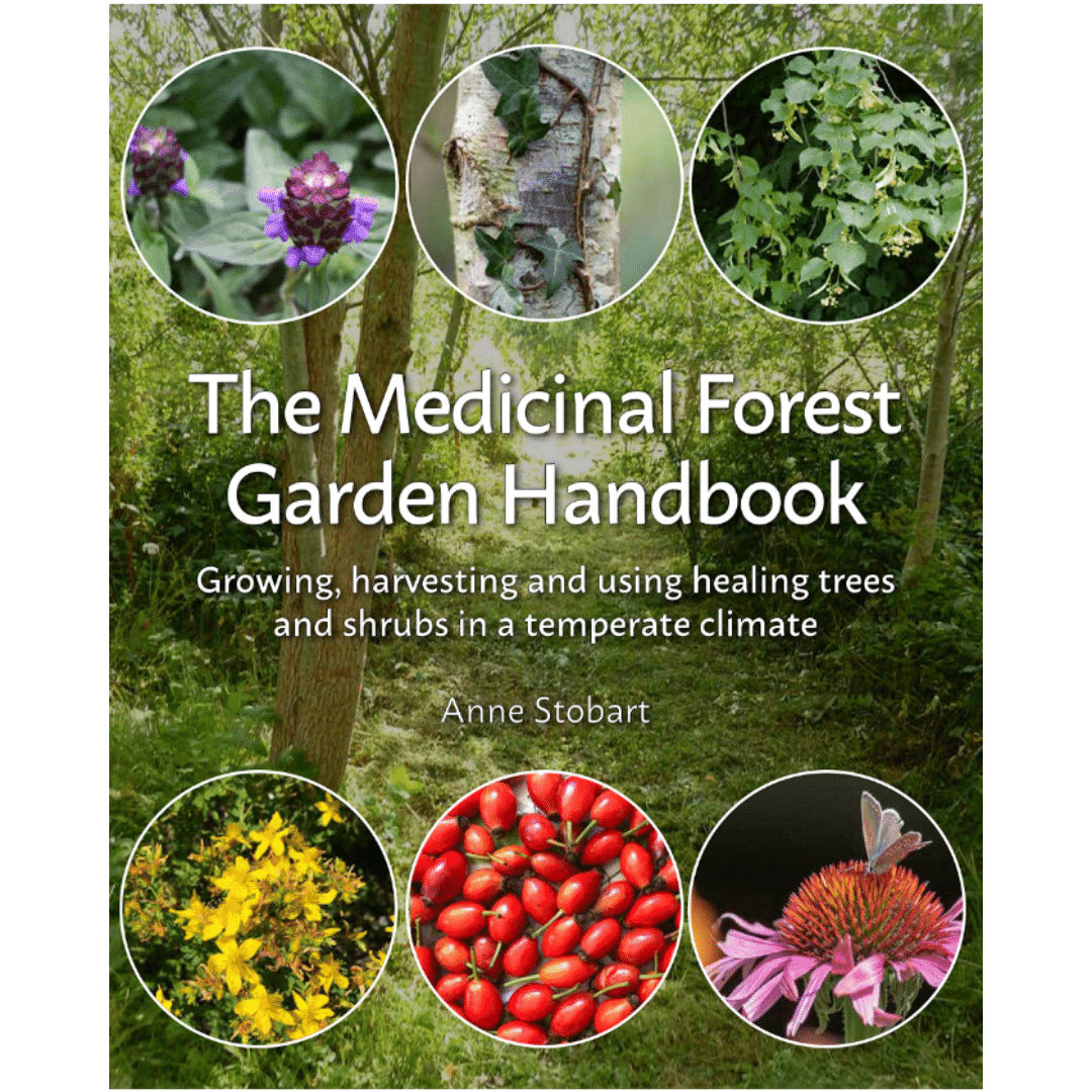 The Medicinal Forest Garden Handbook by Anne Stobart