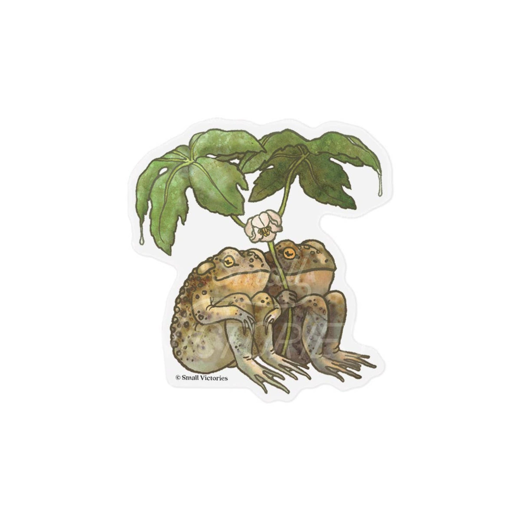 Two Toads Eco Sticker