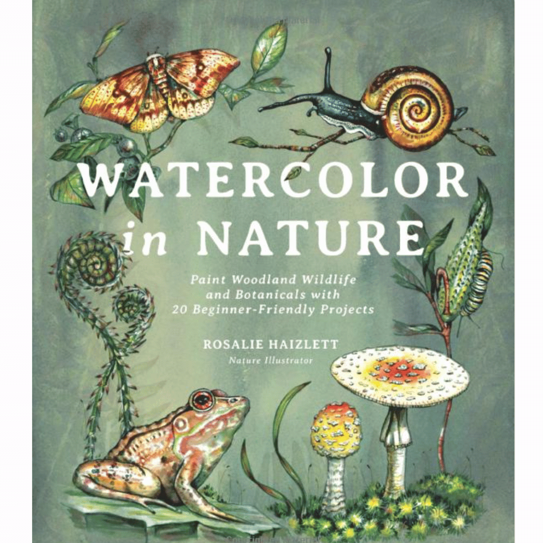 Watercolor in Nature: Paint Woodland Wildlife and Botanicals with 20 Beginner-Friendly Projects