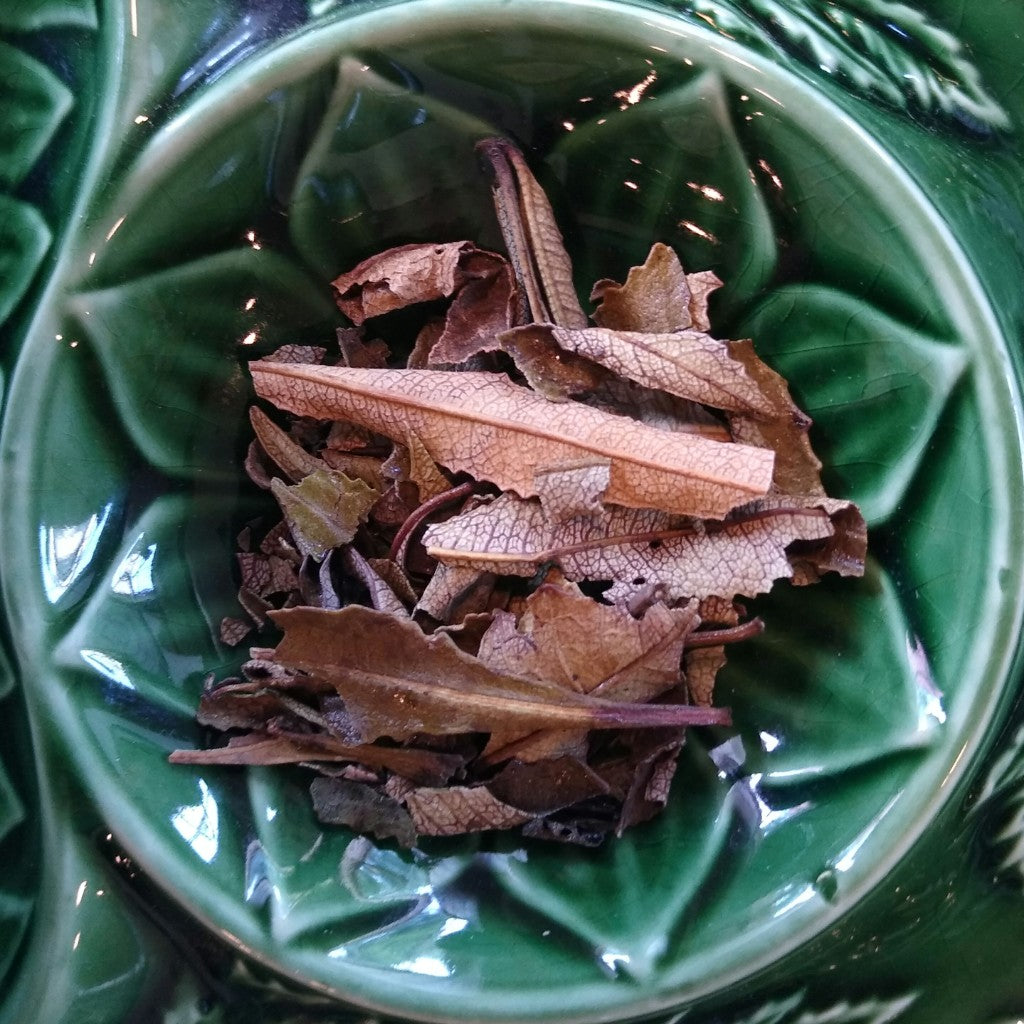 Yerba Santa (Wildcrafted)