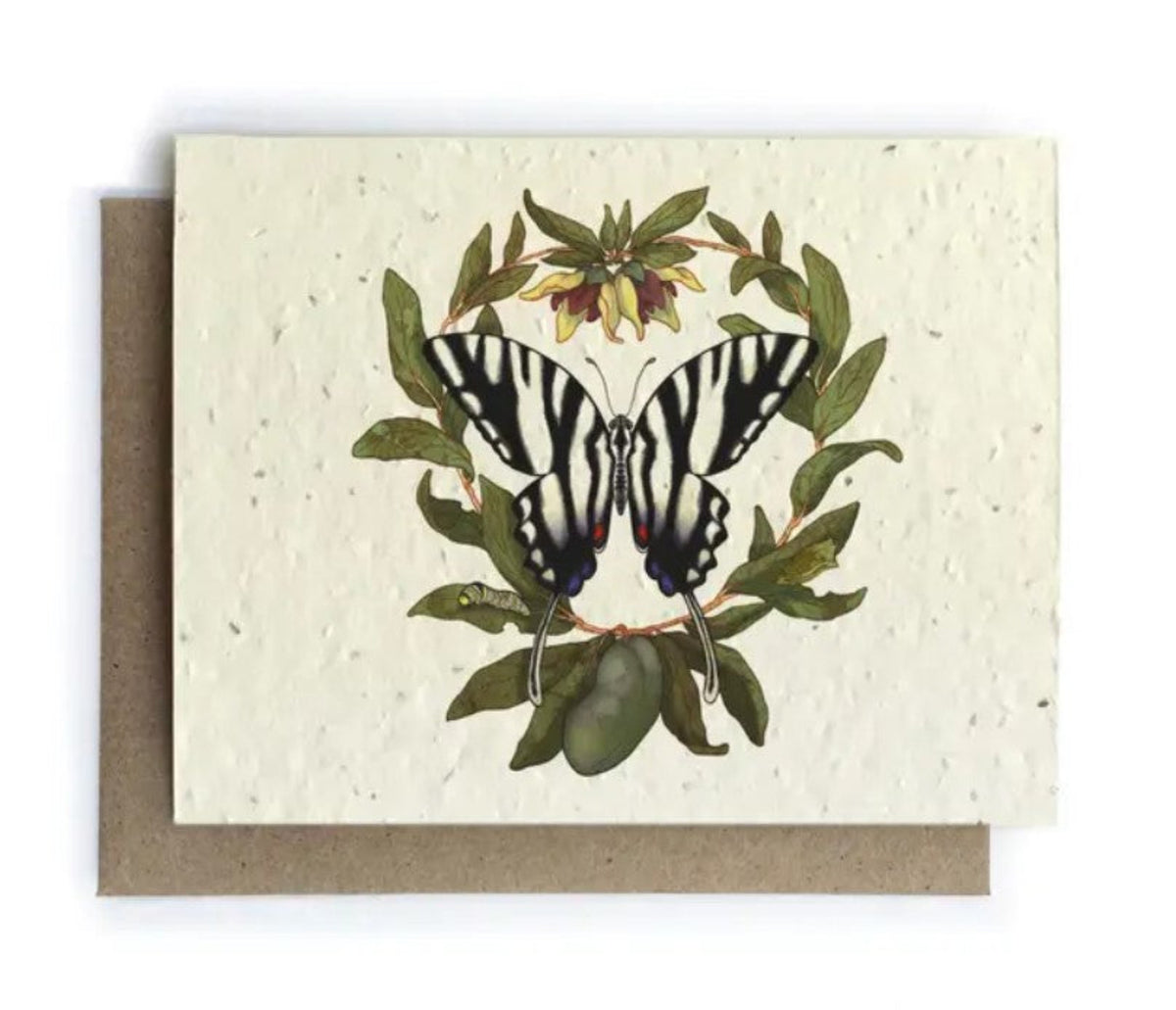 Zebra Butterfly and Paw Paw Plantable Herb Seed Card