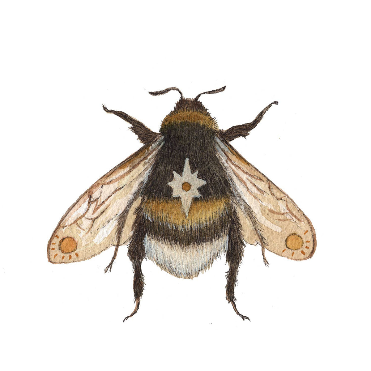 The Astral Bee (5&quot; x 7&quot; Print)
