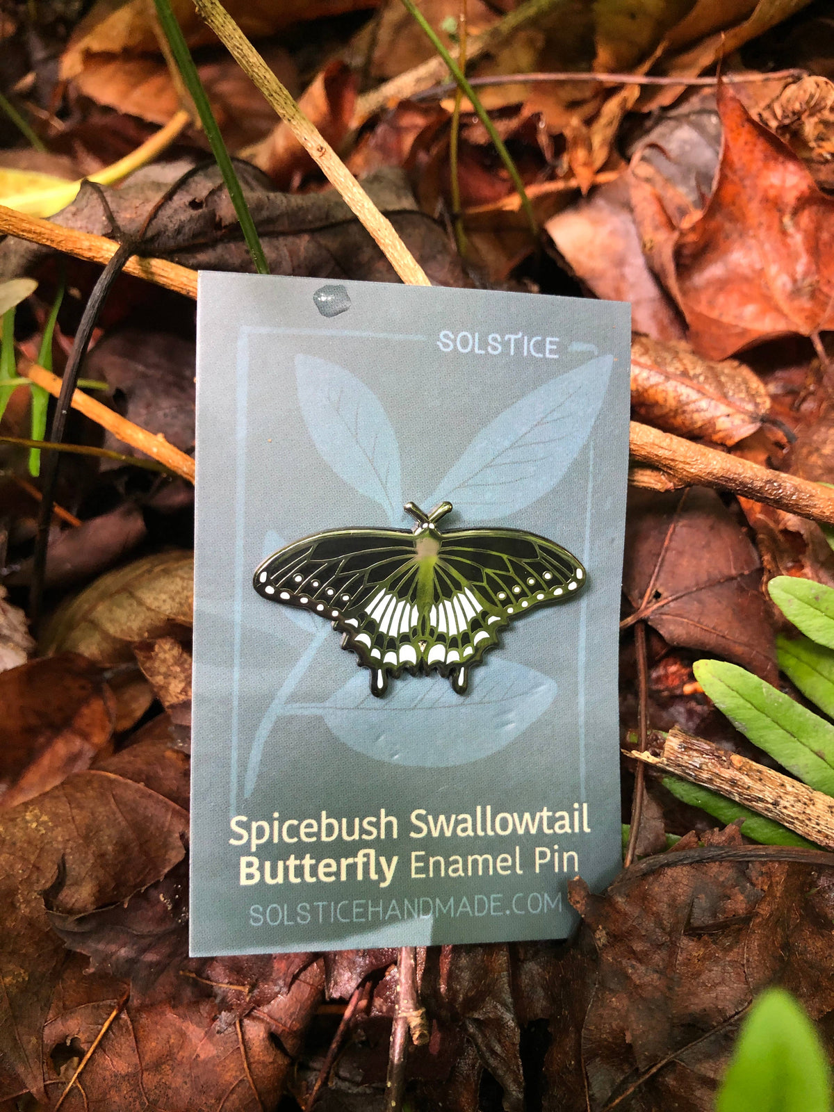 Spicebush Swallowtail Butterfly enamel Pin
