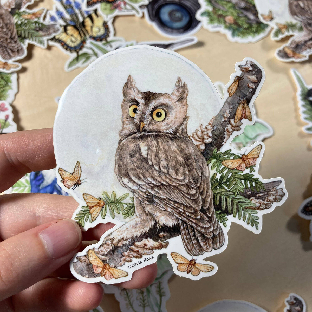 Screech Owl With Moths - Vinyl Sticker