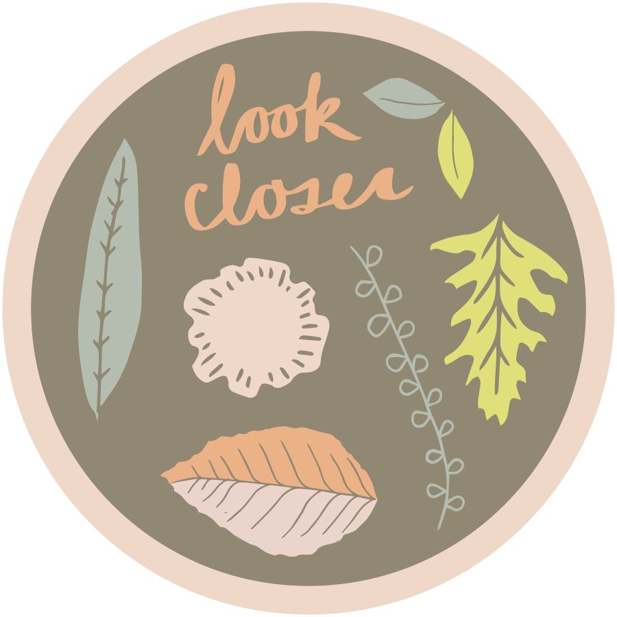 Look Closer Vinyl Sticker
