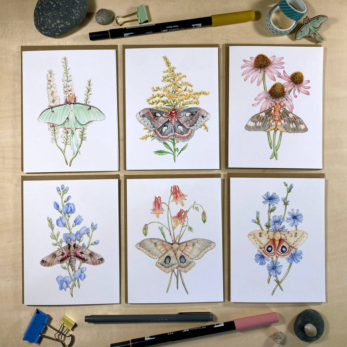 Moths &amp; Wildflowers On Blank Recycled Cards (Set of 6)