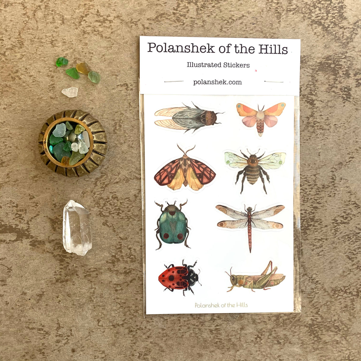 Bug Sticker Sheet
