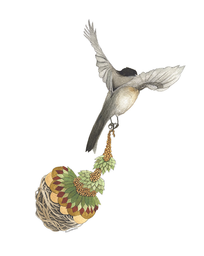 Bird III: Quilted Bundles (8&quot; x 10&quot; Print)
