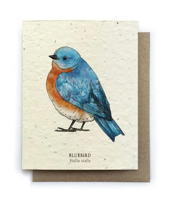 Bluebird Plantable Herb Seed Card