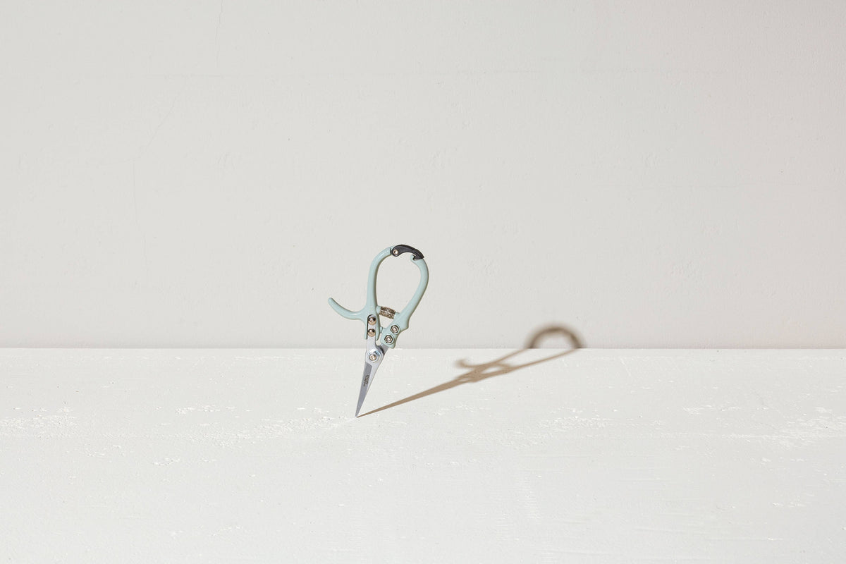 Shears