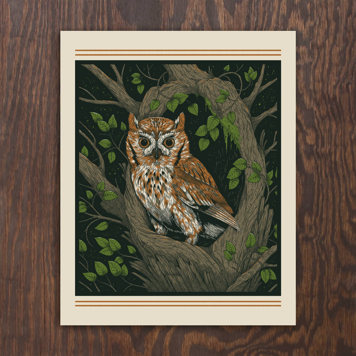 Screech Owl by Logan Schmitt Screenprint (16 x 20)
