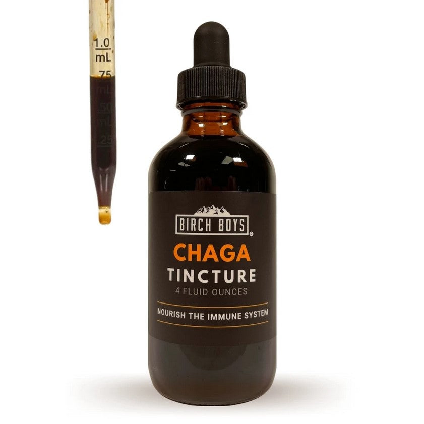 Chaga Tincture —Birch Boys