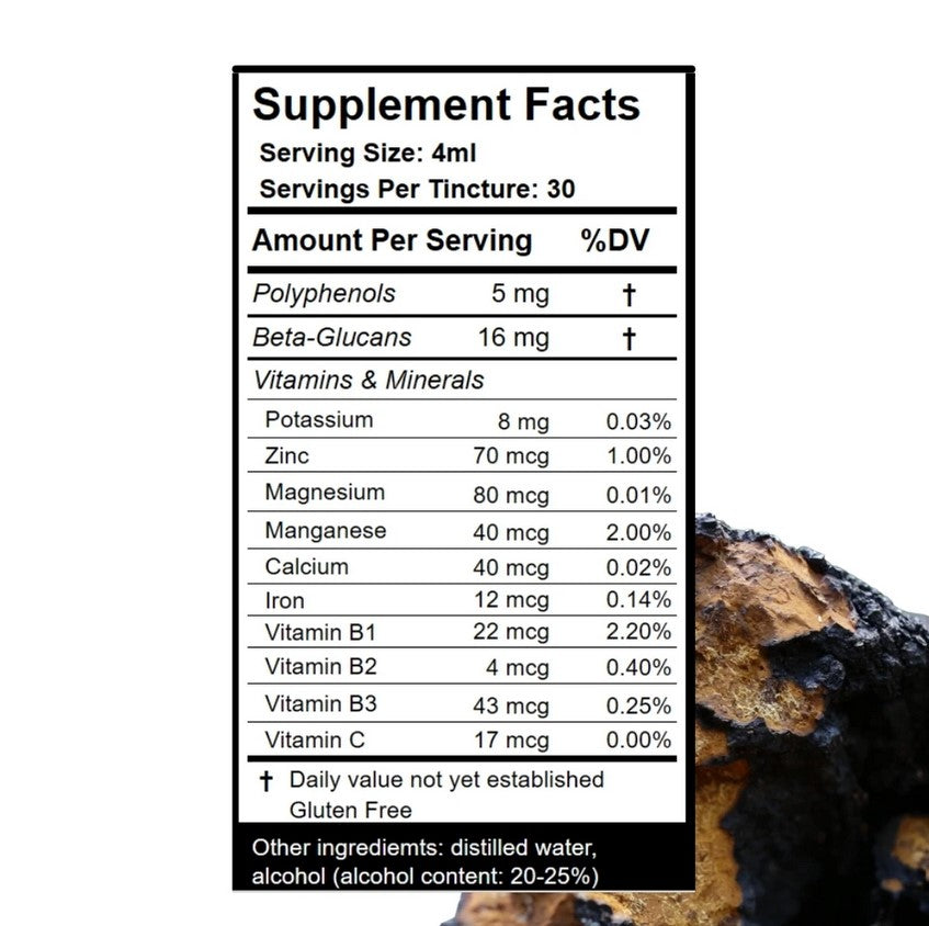 Chaga Tincture —Birch Boys