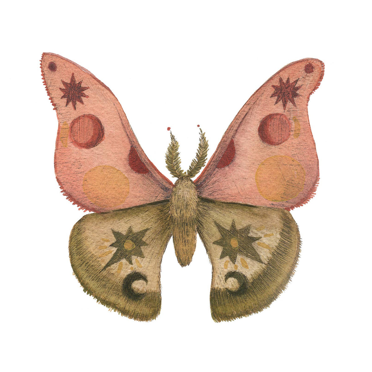 Mineral Moth // Rhodonite (5&quot; x 7&quot; Print)