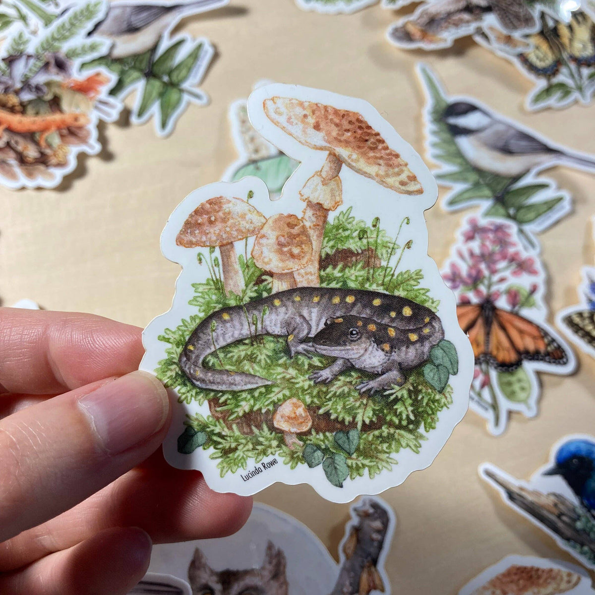 Spotted Salamander With Blusher Mushrooms - Vinyl Sticker