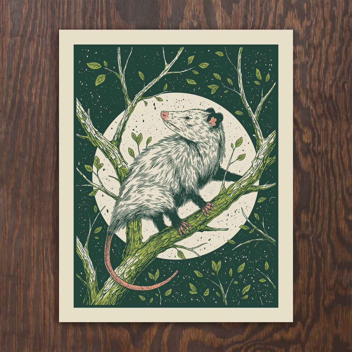 Opossum Screenprint by Logan Schmitt (8&quot; x 10)