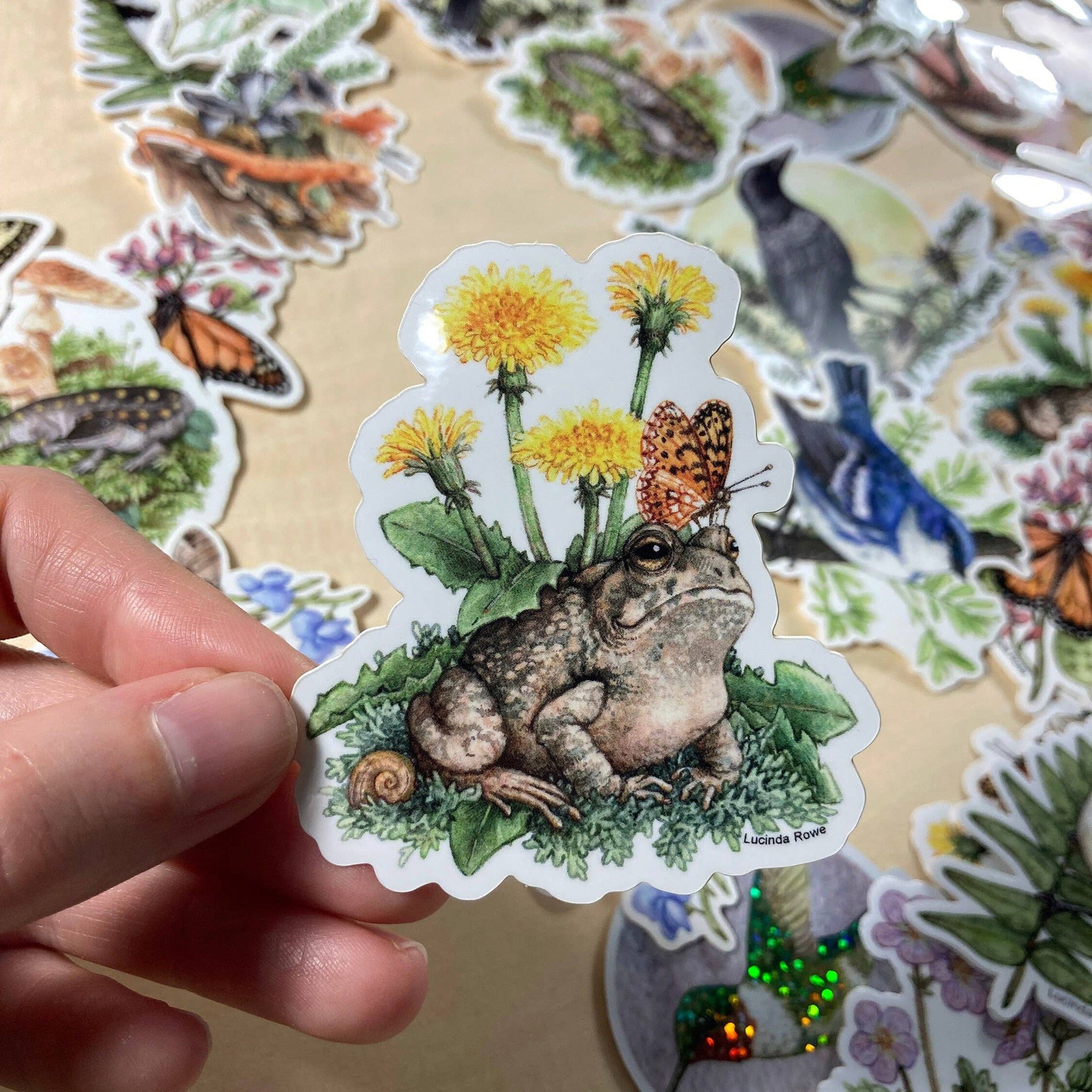 Fowler's Toad With Dandelions And Butterfly - Vinyl Sticker