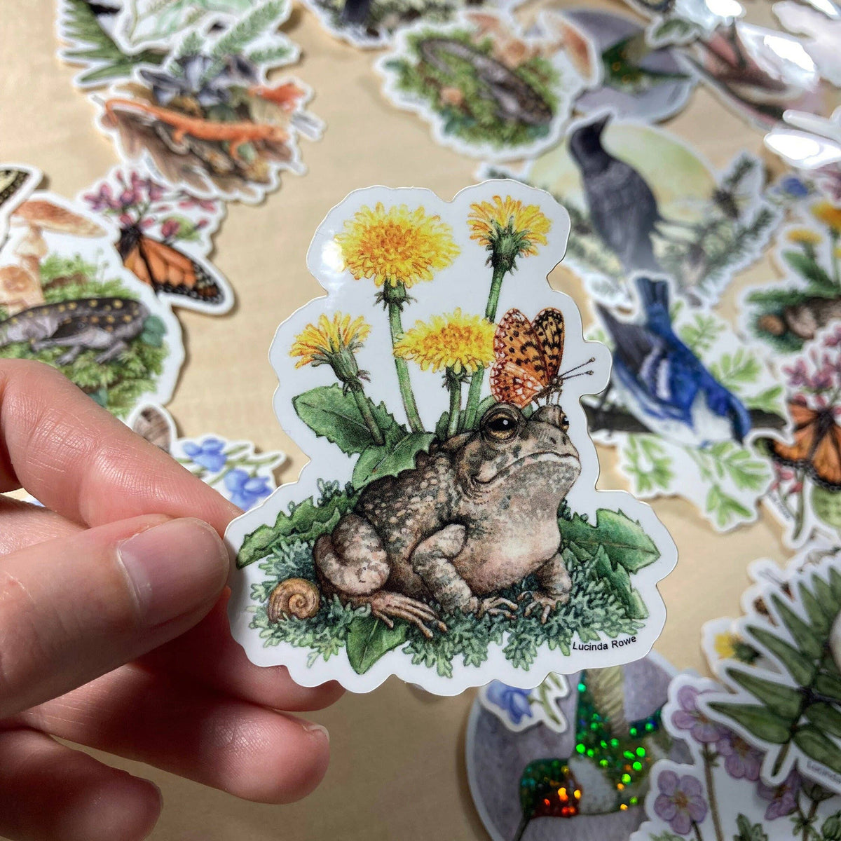 Fowler&#39;s Toad With Dandelions And Butterfly - Vinyl Sticker
