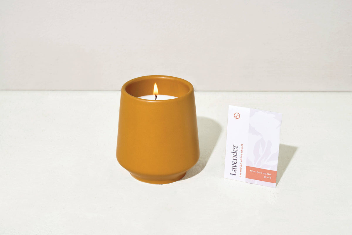 Rooted Candle - Lavender &amp; Neroli