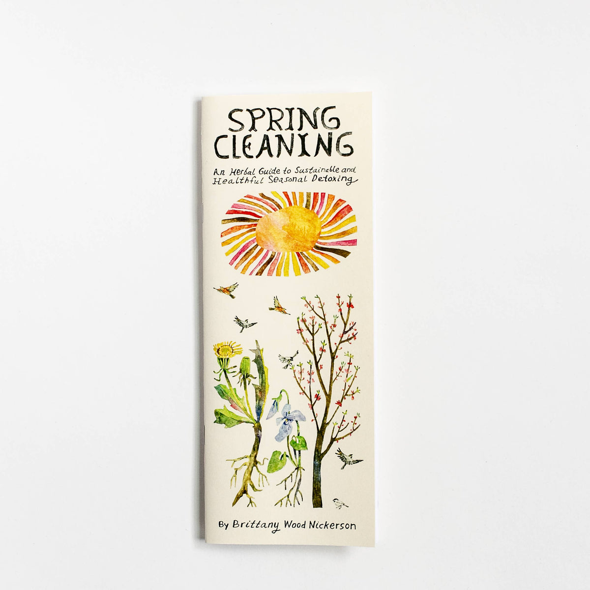 Spring Cleaning by Brittany Wood Nickerson