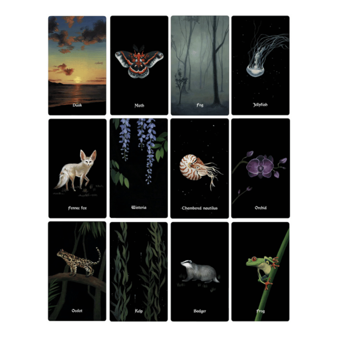 Nocturna Oracle Card Deck &amp; Guidebook
