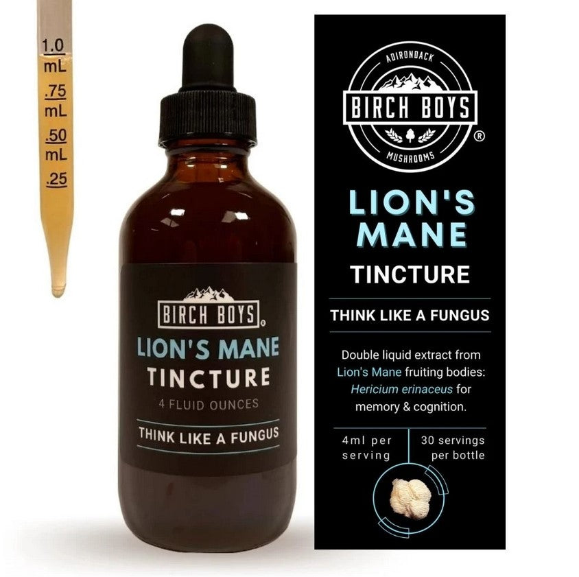 Lion&#39;s Mane Tincture—Birch Boys