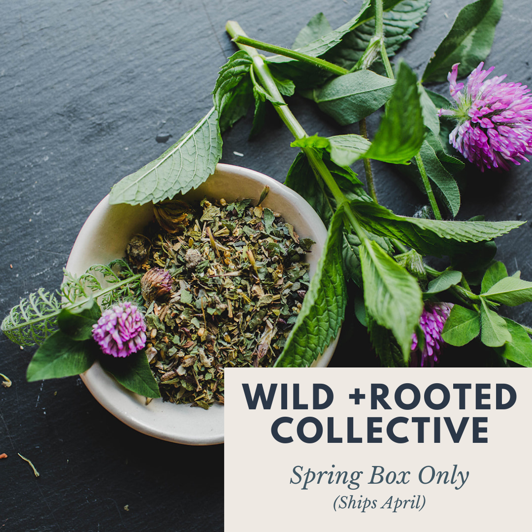 W+R Spring Early Bird