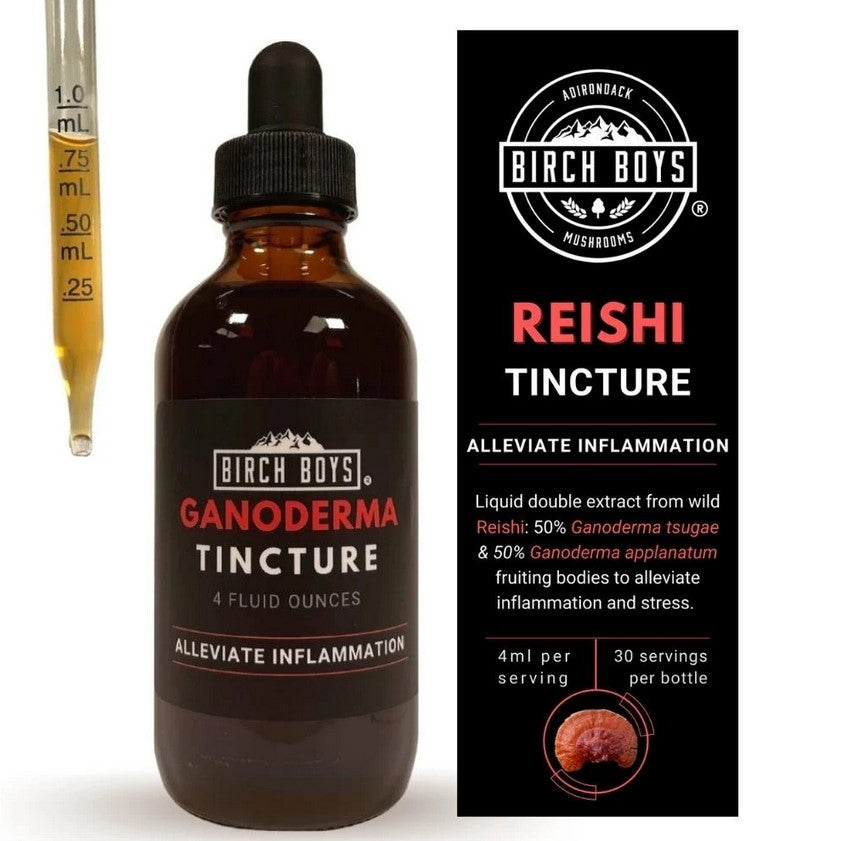 Reishi (Ganoderma) Tincture—Birch Boys