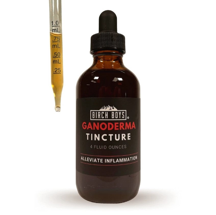 Reishi (Ganoderma) Tincture—Birch Boys