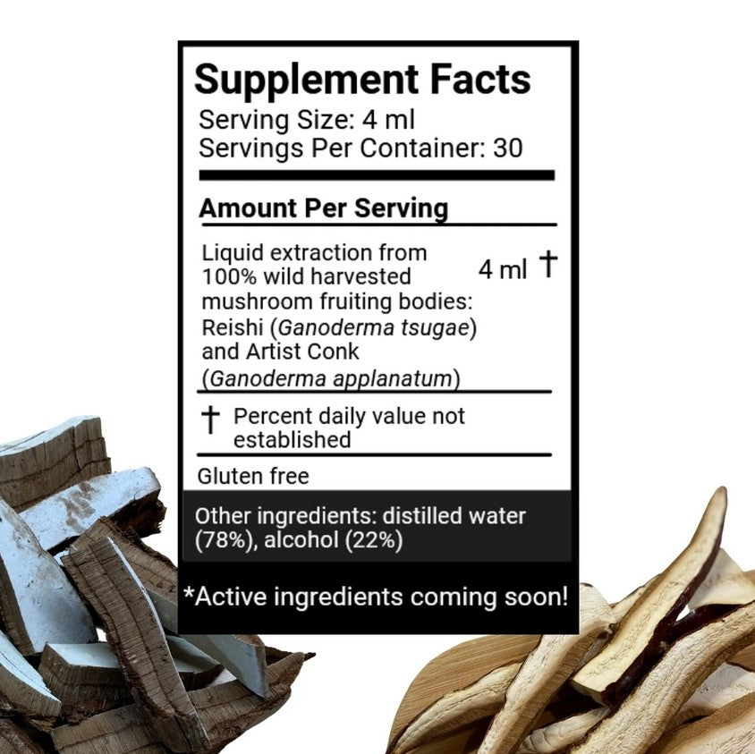 Reishi (Ganoderma) Tincture—Birch Boys